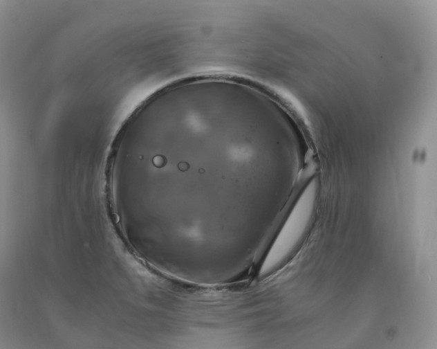 X0000092001279200709201501