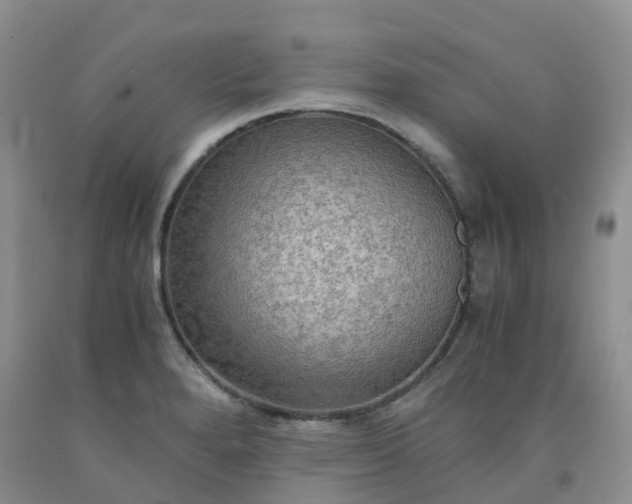 X0000092001280200709201501