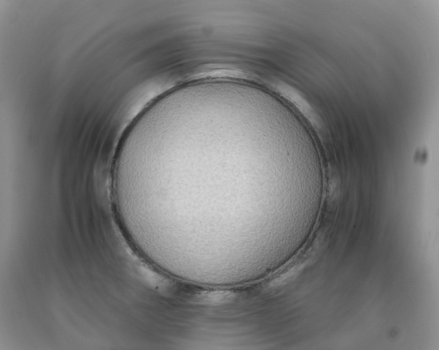 X0000092001282200709201501