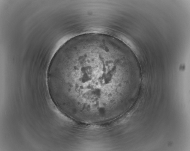 X0000092001283200709201501