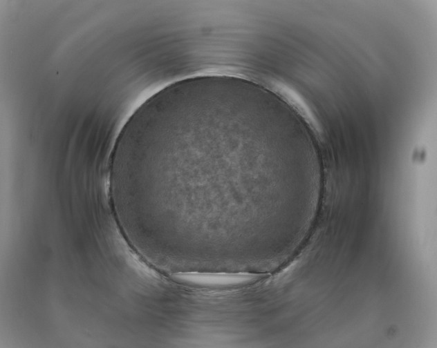 X0000092001284200709201501