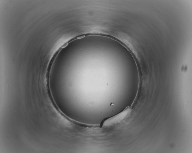 X0000092001285200709201501