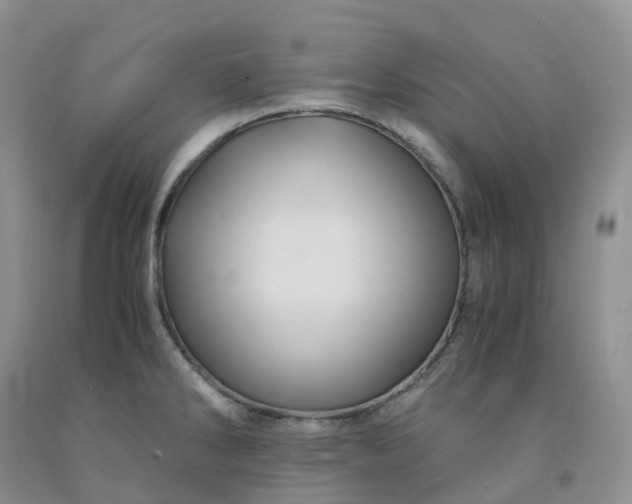 X0000092001286200709201501