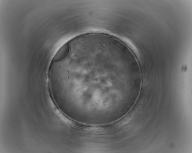 X0000092001287200709201501