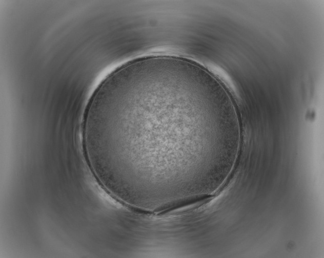 X0000092001288200709201501