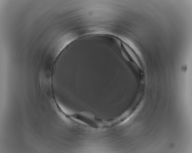 X0000092001289200709201501