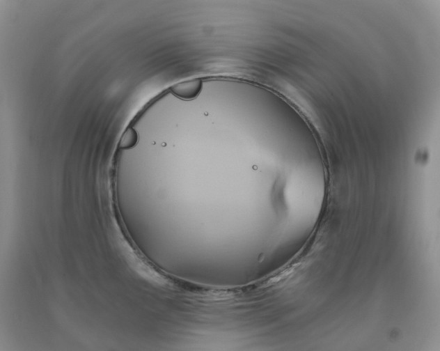 X0000092001291200709201501