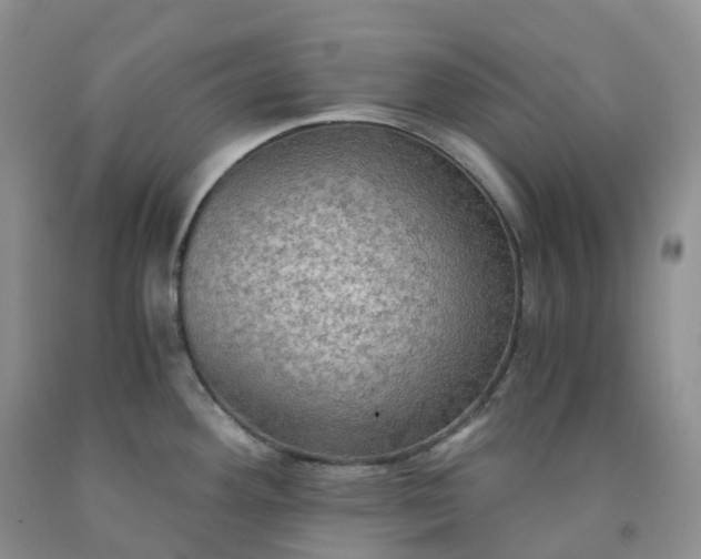 X0000092001292200709201501