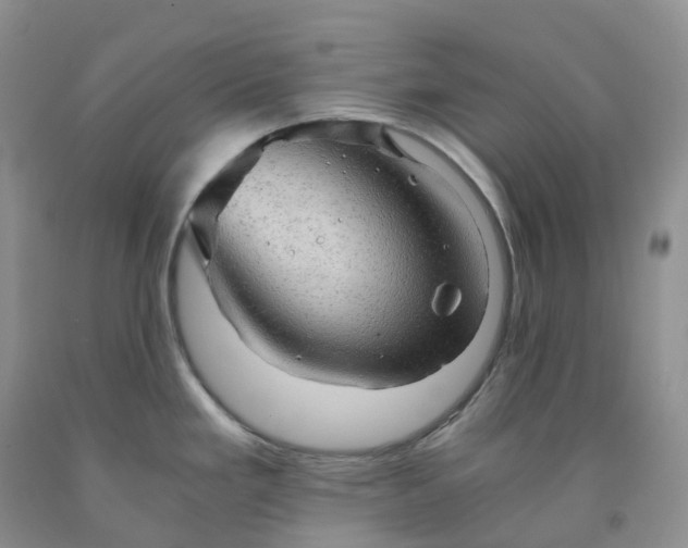 X0000092001293200709201501