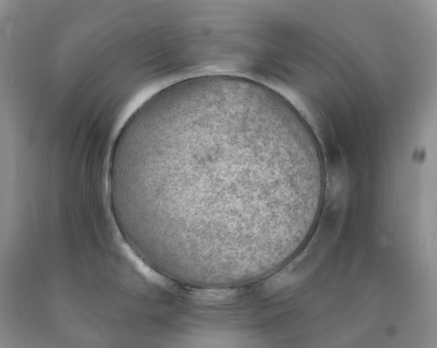 X0000092001294200709201501