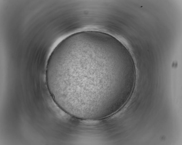 X0000092001296200709201501