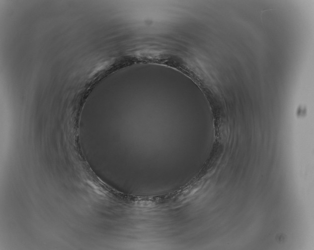 X0000092001297200709201500