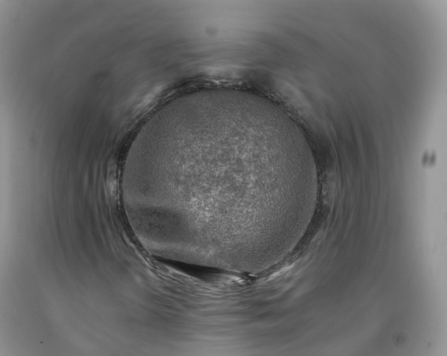 X0000092001298200709201500