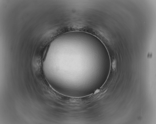 X0000092001299200709201500