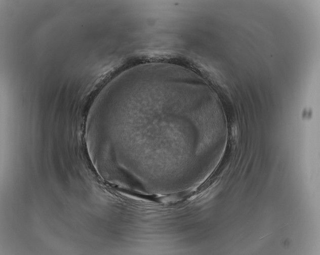 X0000092001300200709201500