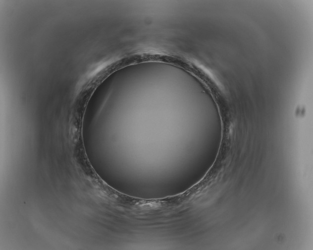 X0000092001303200709201500