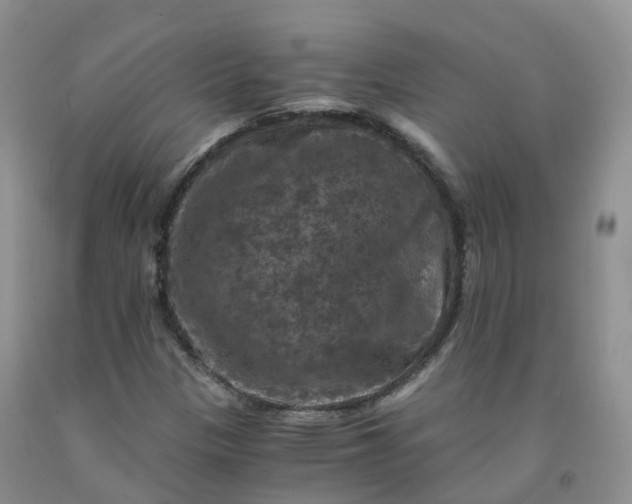 X0000092001305200709201500