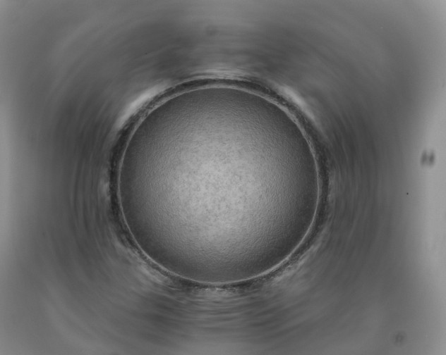 X0000092001307200709201500