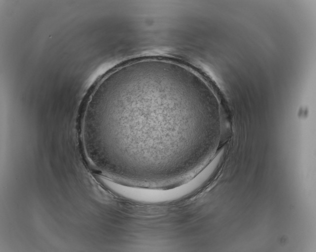 X0000092001308200709201500