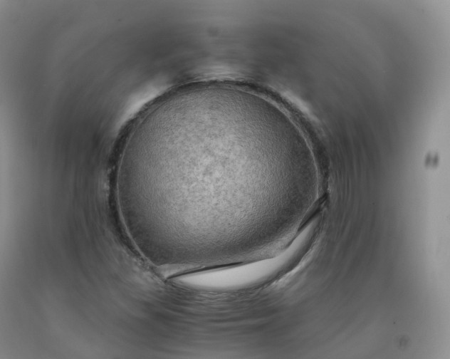 X0000092001309200709201500