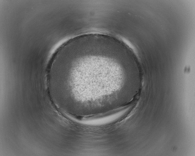 X0000092001310200709201500