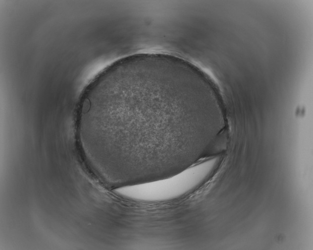 X0000092001311200709201500