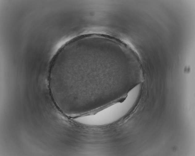 X0000092001312200709201500