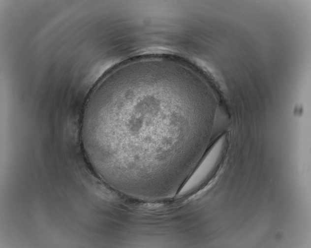 X0000092001313200709201500