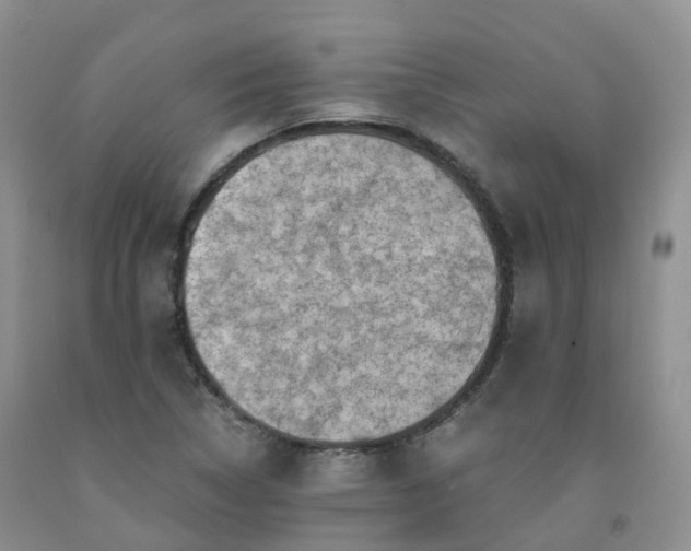 X0000092001314200709201500