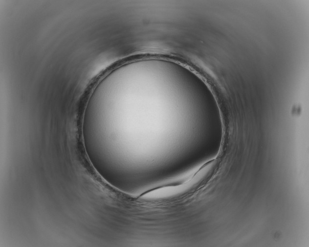 X0000092001315200709201500