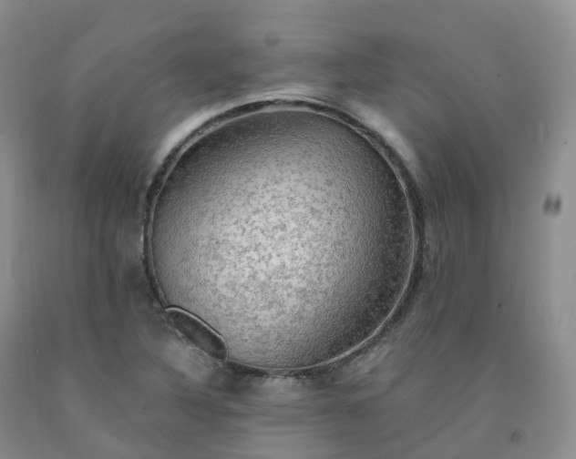 X0000092001316200709201500