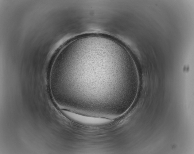 X0000092001318200709201500