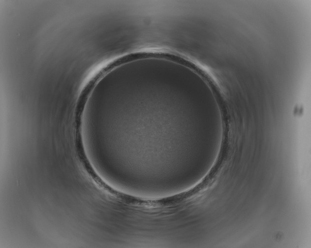 X0000092001319200709201500