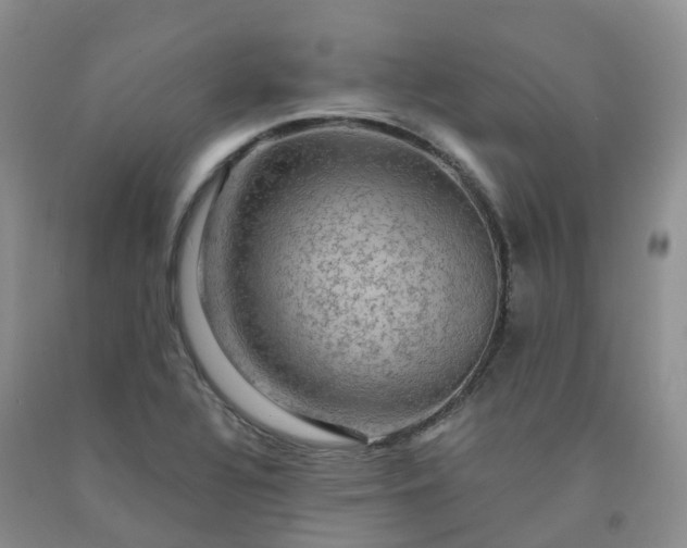 X0000092001320200709201500