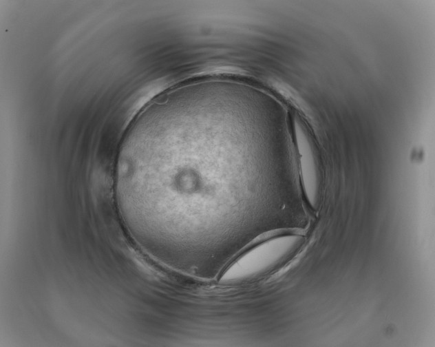 X0000092001321200709201501