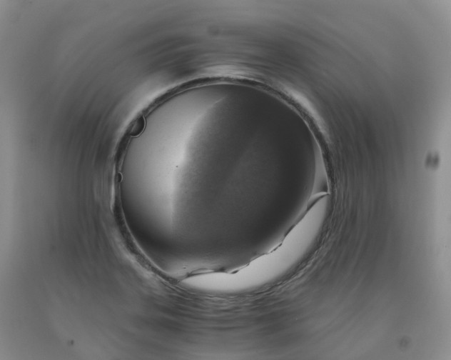 X0000092001323200709201501