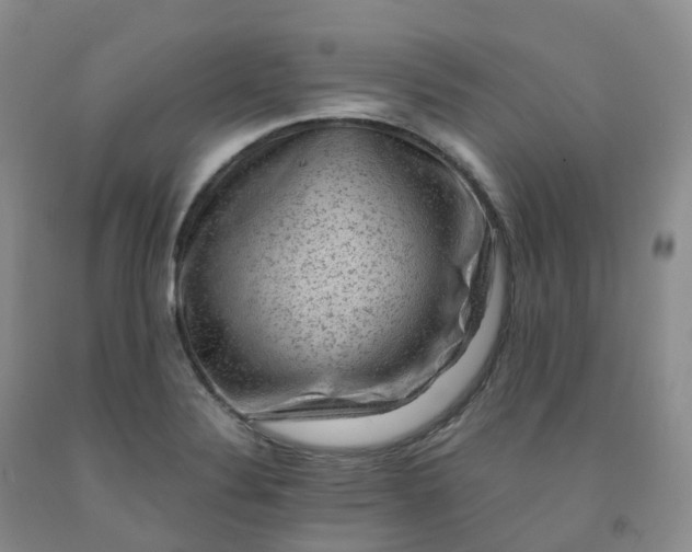 X0000092001324200709201501