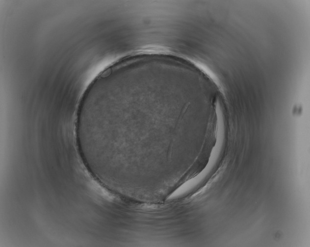 X0000092001325200709201501