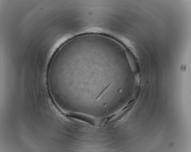 X0000092001326200709201501