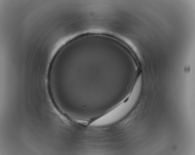 X0000092001327200709201501