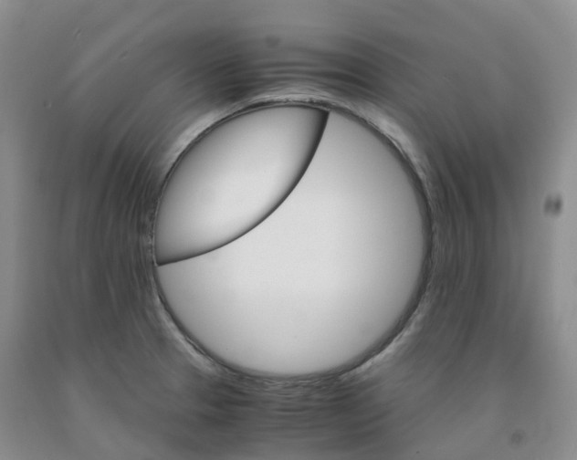 X0000092001329200709201501