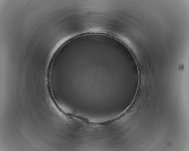 X0000092001331200709201501