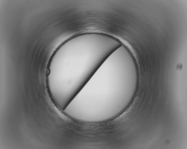 X0000092001333200709201501