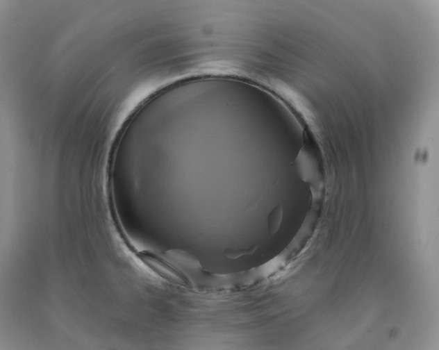 X0000092001334200709201501