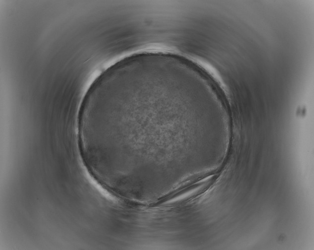 X0000092001335200709201501