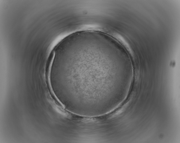 X0000092001336200709201501