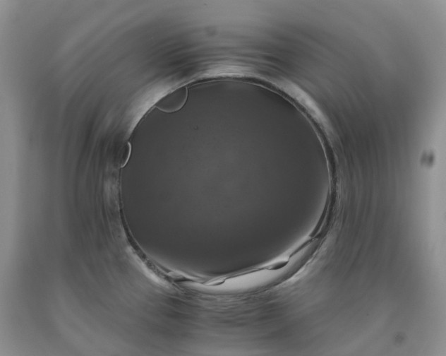 X0000092001337200709201501