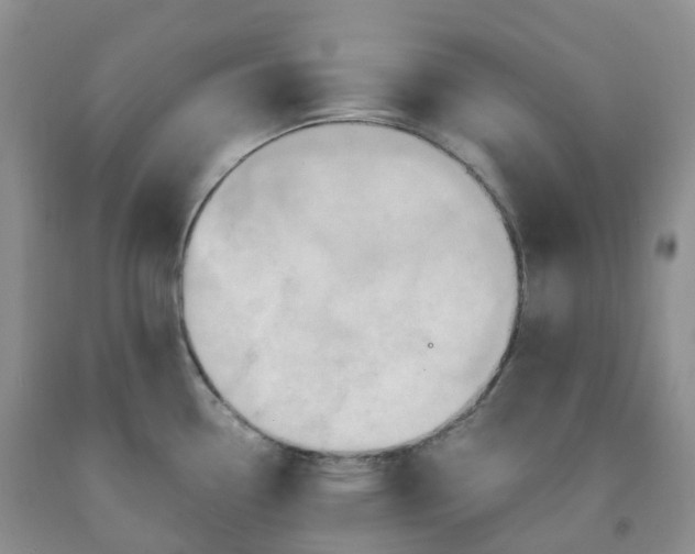 X0000092001338200709201501