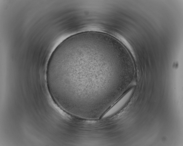 X0000092001339200709201501