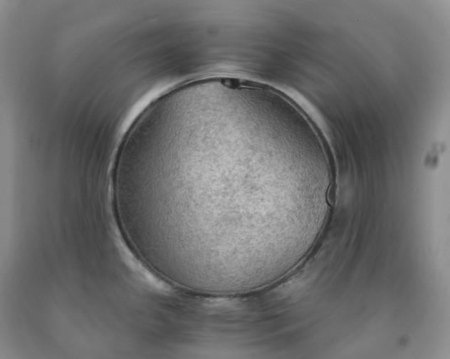 X0000092001341200709201501